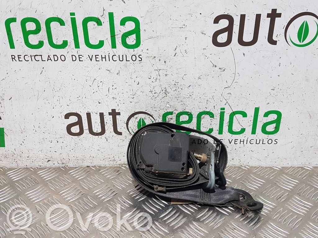 Cinturón delantero   313360B