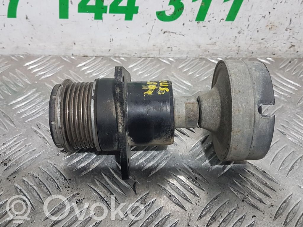 Alternator pulley