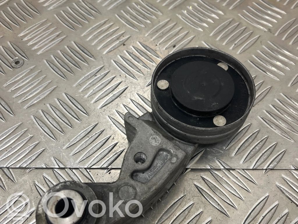 Audi A8 S8 D3 4E Întinzător curea generator/alternator 