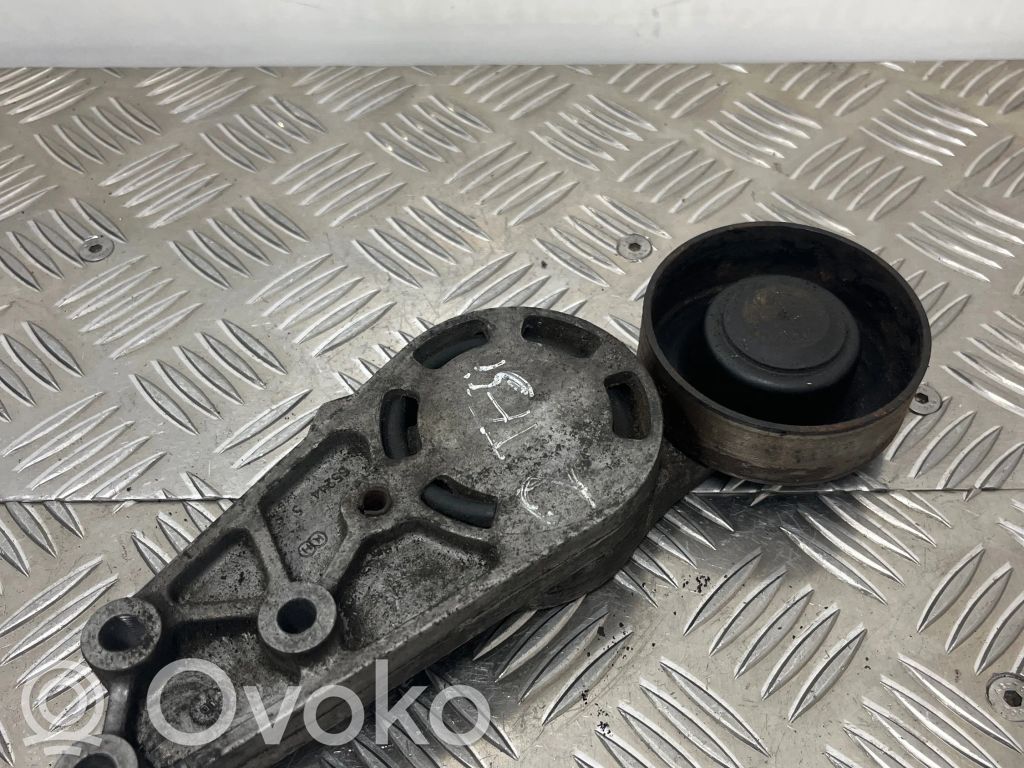 Audi A4 S4 B7 8E 8H Diržo įtempėjas 