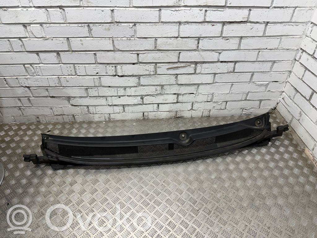 Chrysler Pacifica Moldura del limpia 