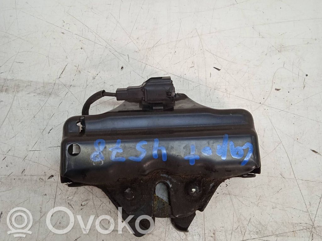 Lexus RX III Kiinnityskoukku/-silmukka 