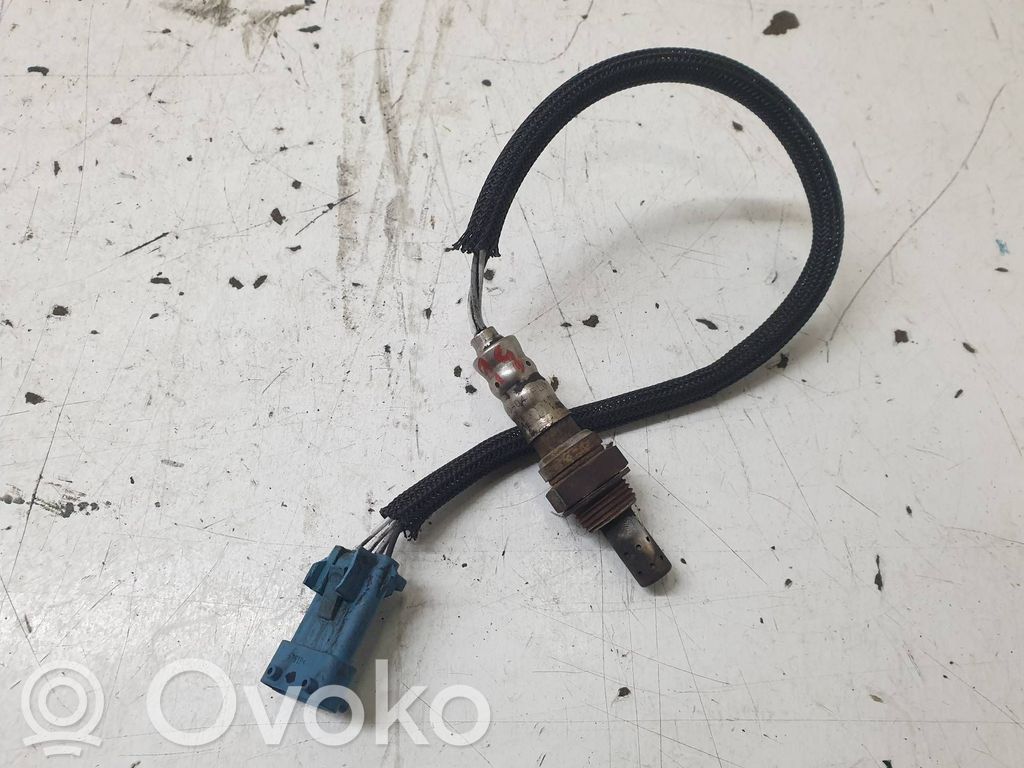 Sonda lambda   754896180
