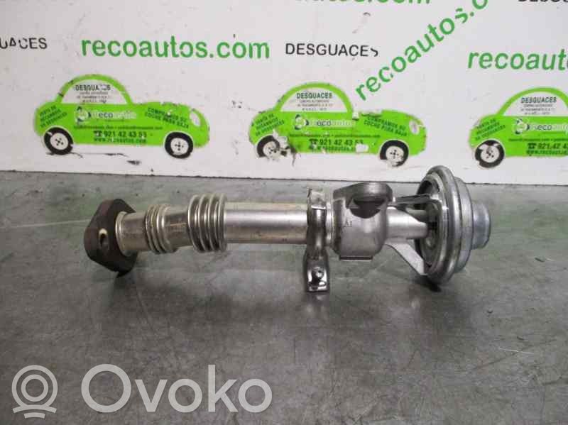 Seat Ibiza II (6k) Valvola EGR
