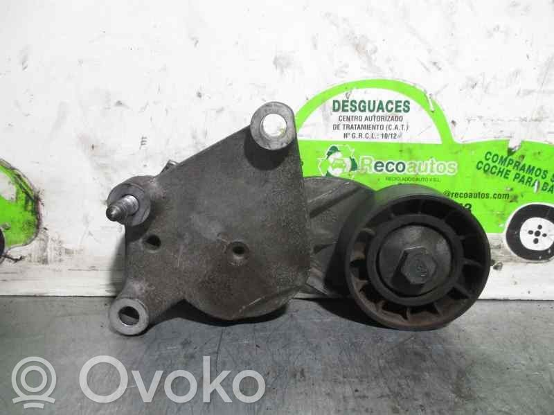 Citroen C4 Aircross Napinacz paska alternatora 