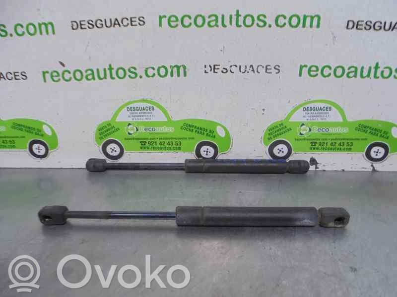 Audi A6 S6 C5 4B Amortizor hayon 
