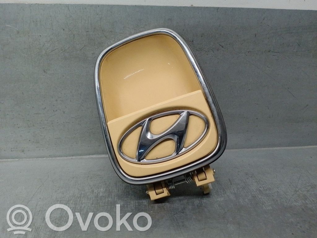 Hyundai i10 Rear door exterior handle 
