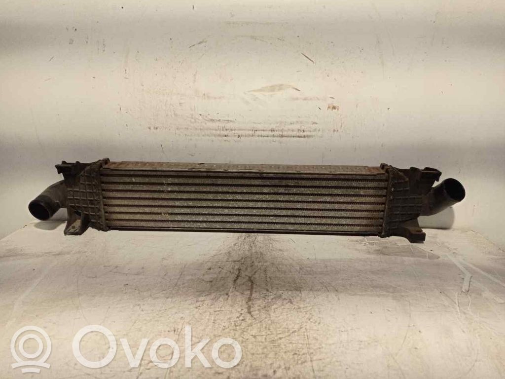 Ford Focus Starpdzesētāja radiators