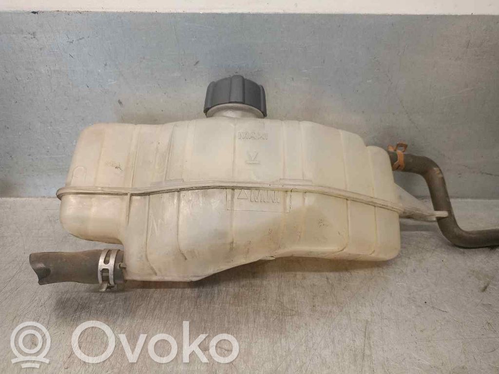 Renault Modus Polttoaineen paisuntasäiliö 