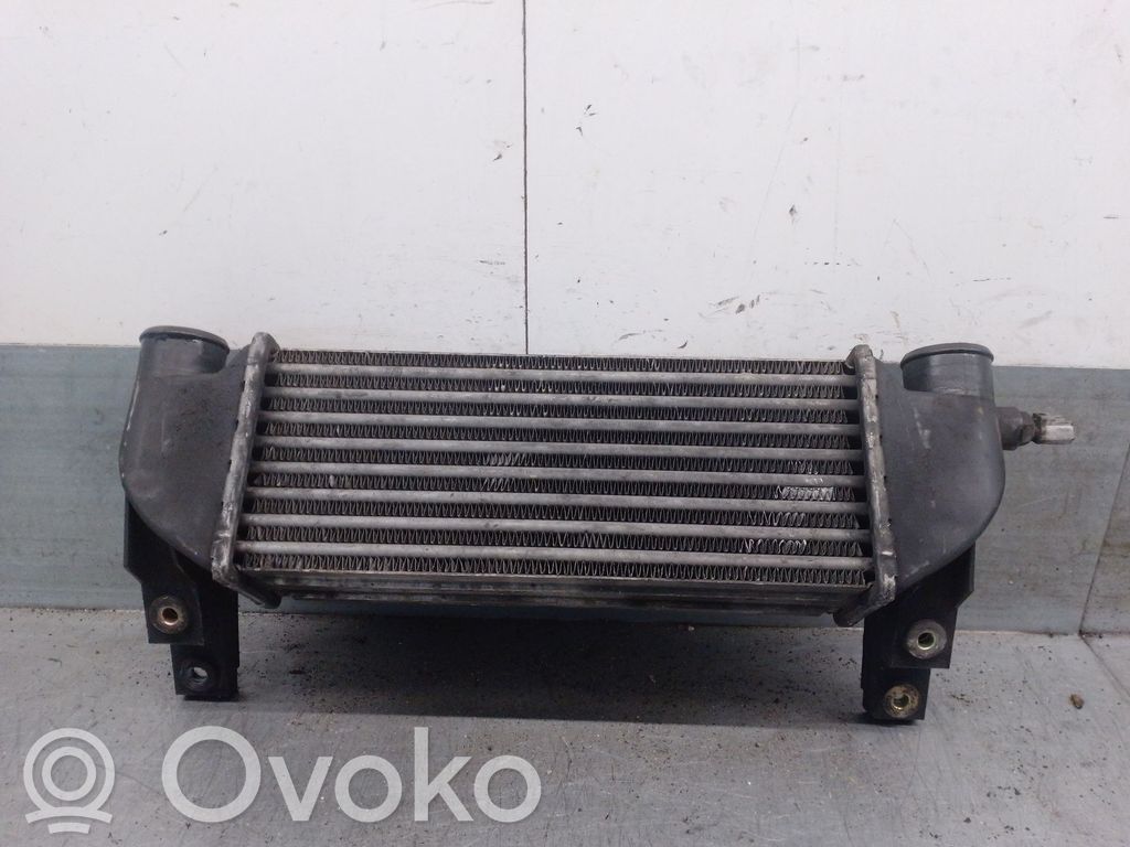 Ford Tourneo Radiatore intercooler
