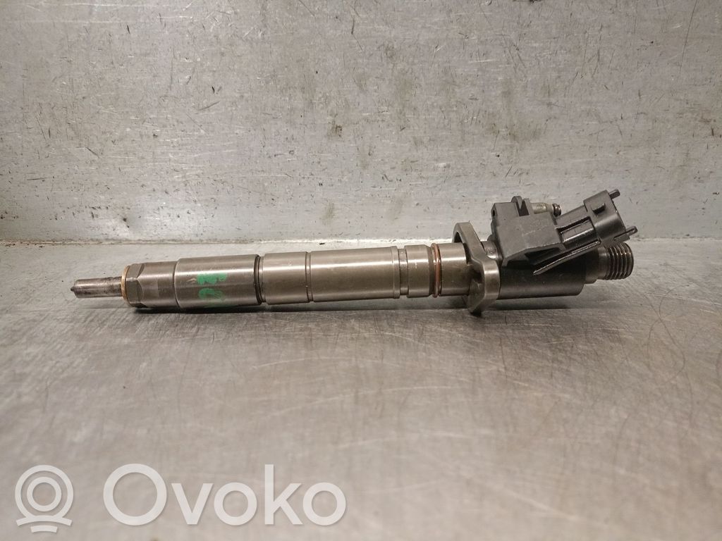 Land Rover Range Rover Sport L320 Injector combustibil 