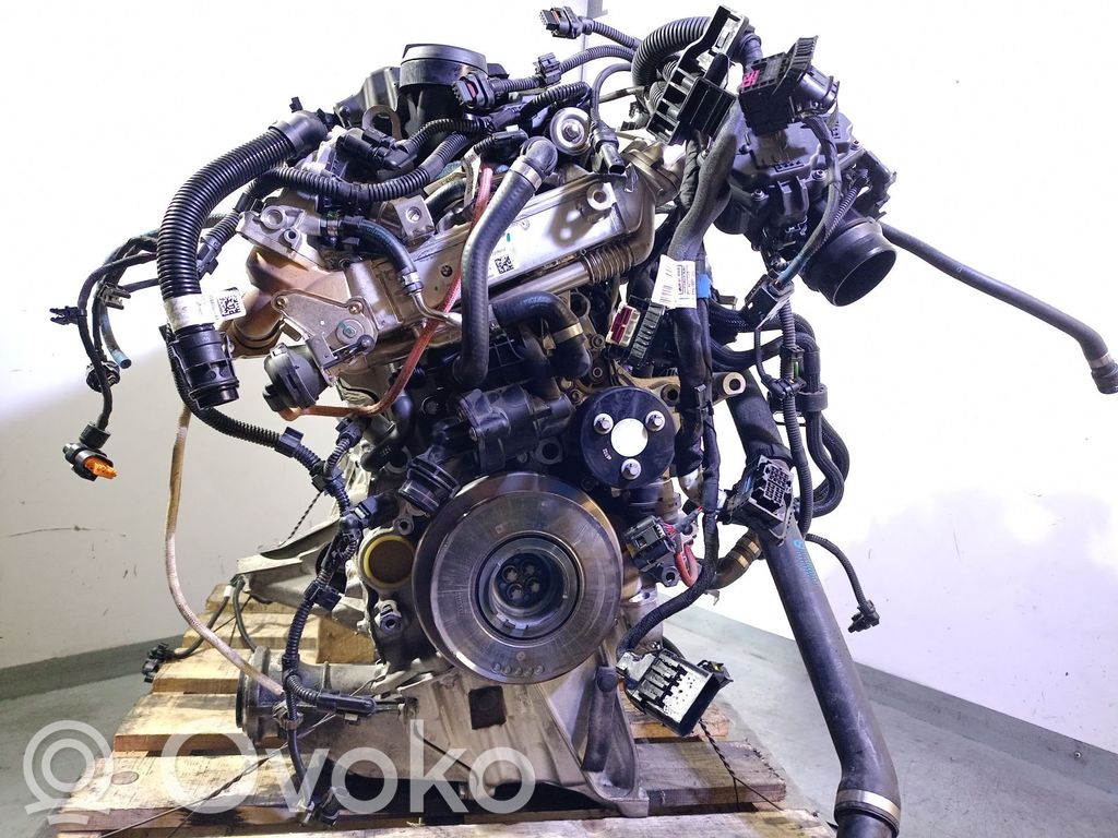 BMW X3 G01 Variklis 