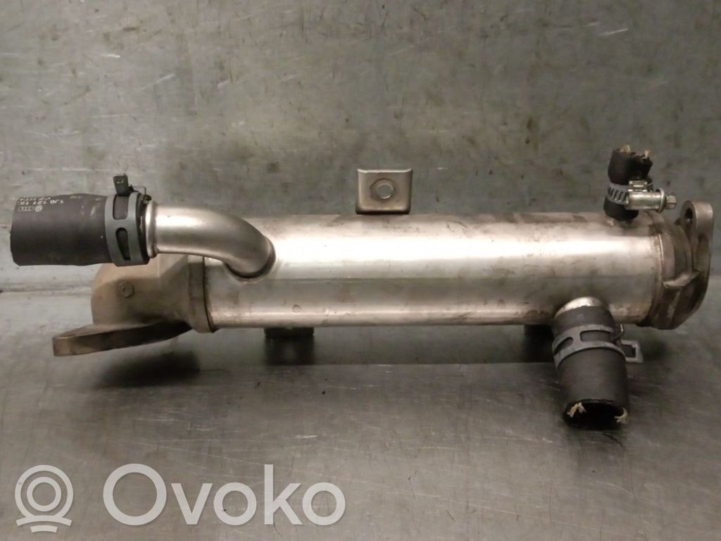 Volkswagen Golf SportWagen Chłodnica spalin EGR 