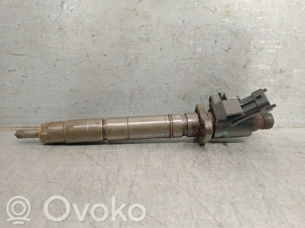 Land Rover Range Rover Sport L320 Injector combustibil 