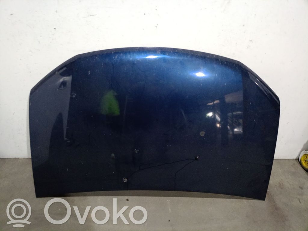 Dacia Sandero II Konepelti 