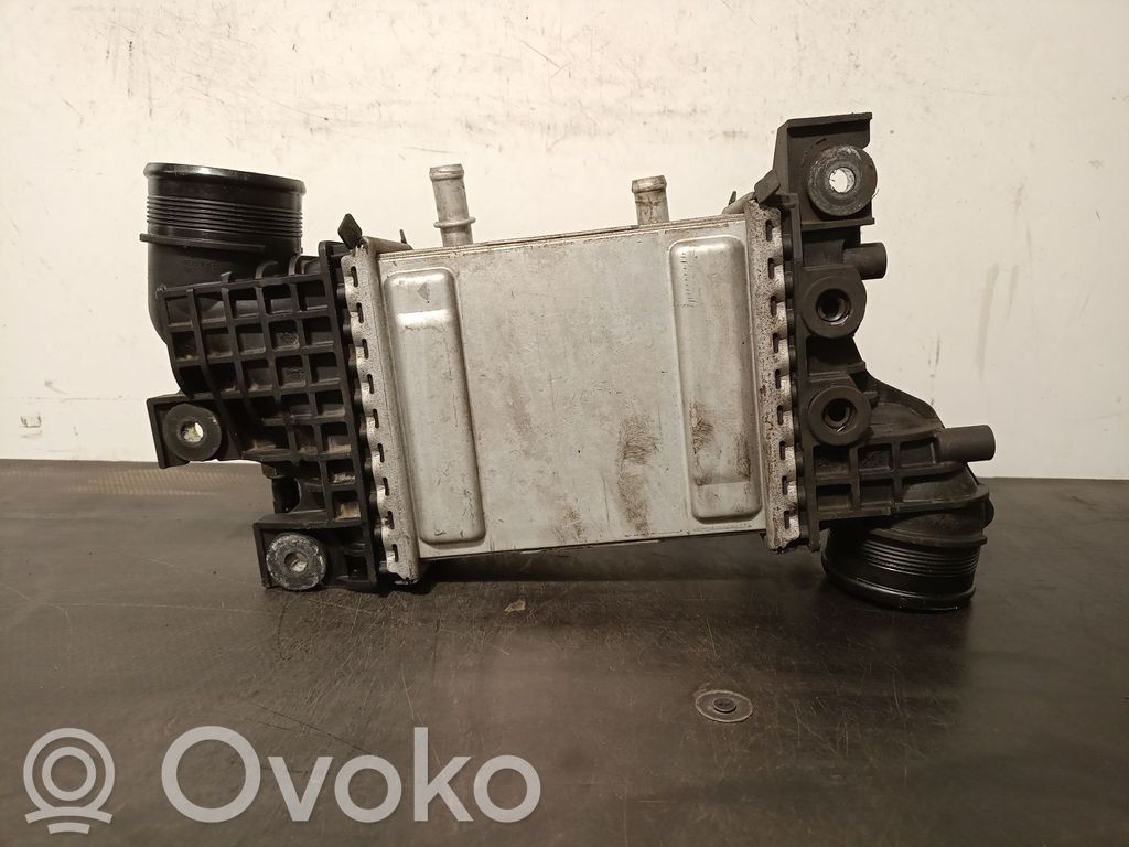 Volkswagen Crafter Starpdzesētāja radiators 