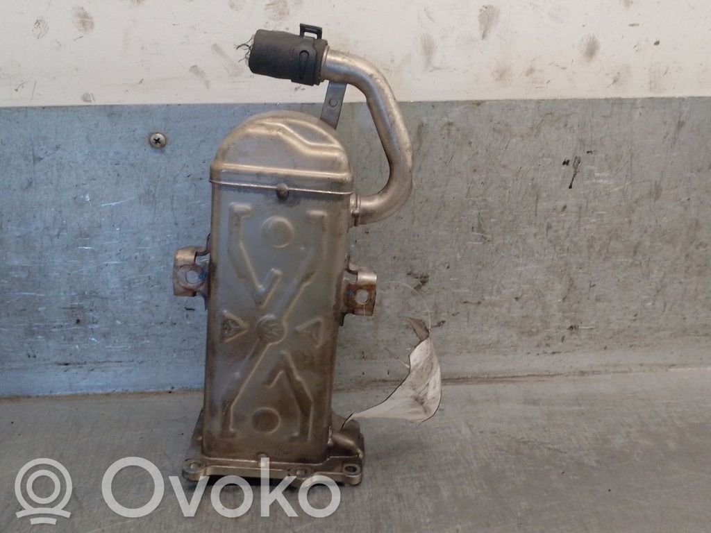 Seat Ibiza IV (6J,6P) Valvola di raffreddamento EGR