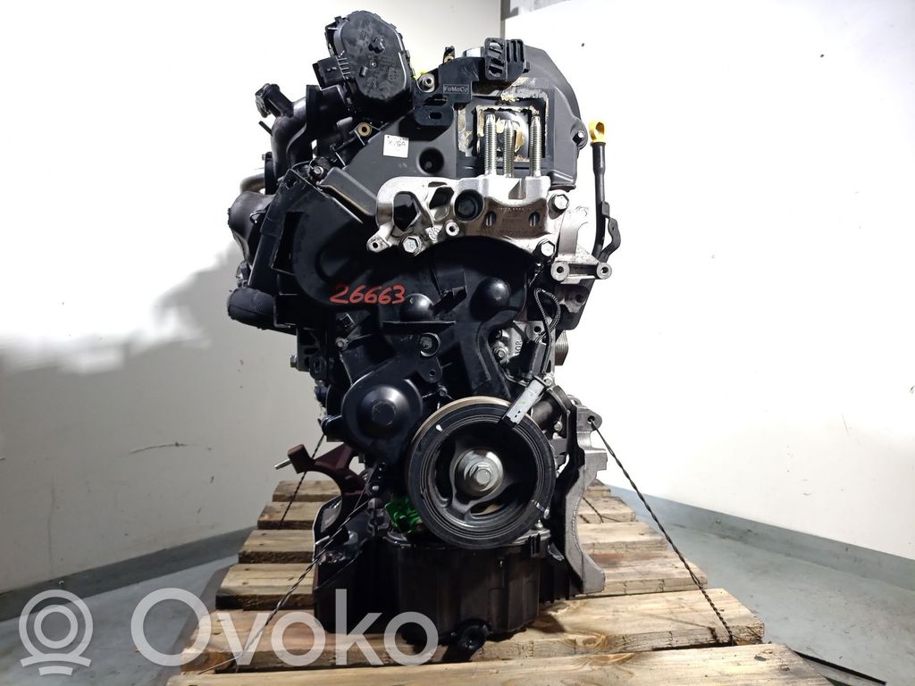 Ford Transit Silnik