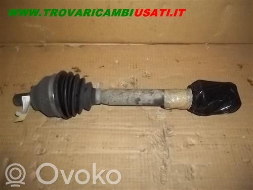 Variklis   36000067,36000067
