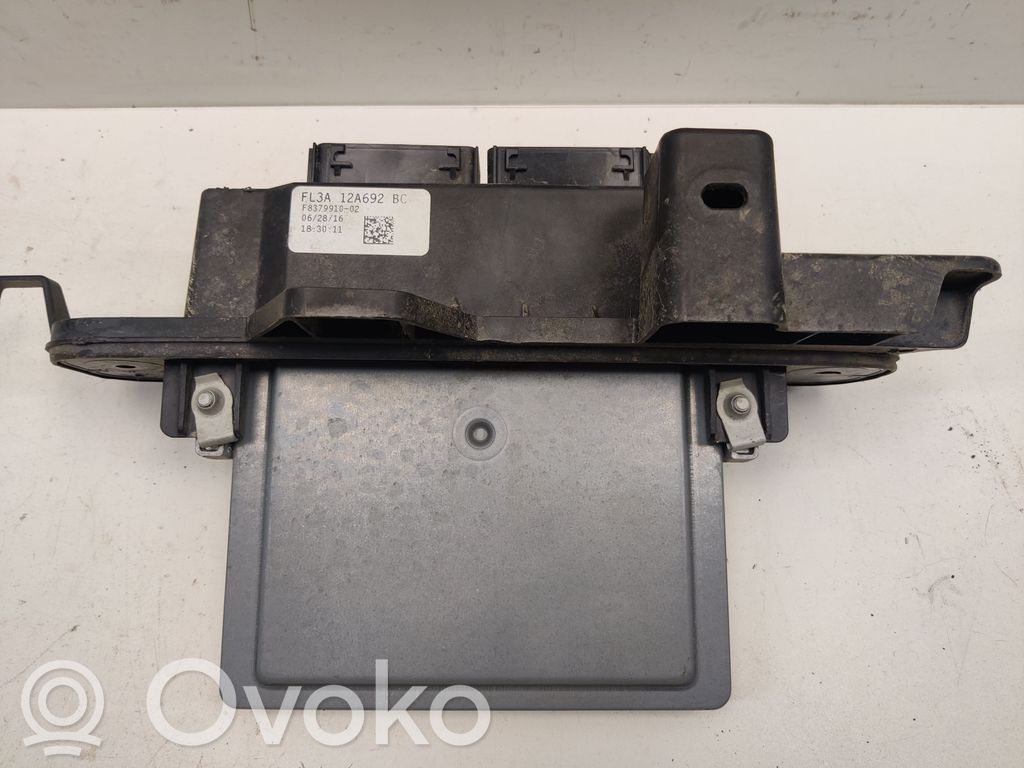 Ford F150 Engine control unit/module 