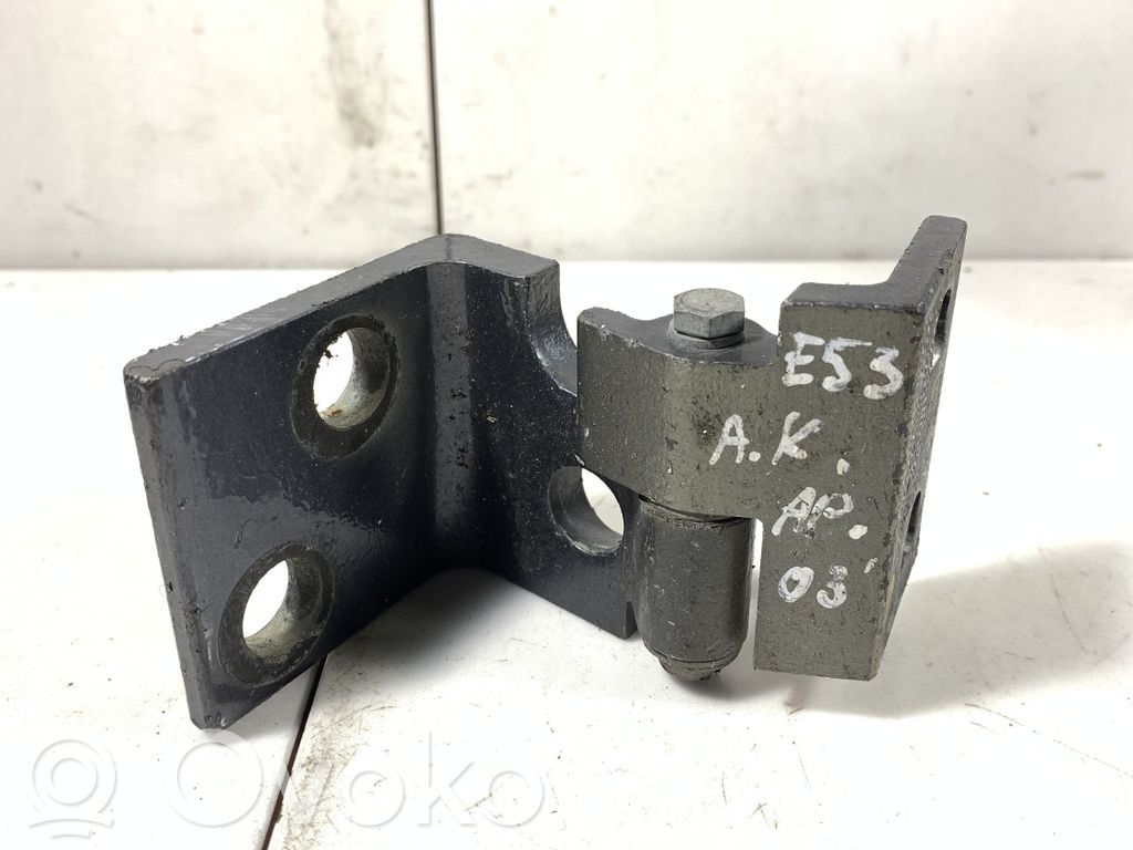 Rear door lower hinge   415282651679