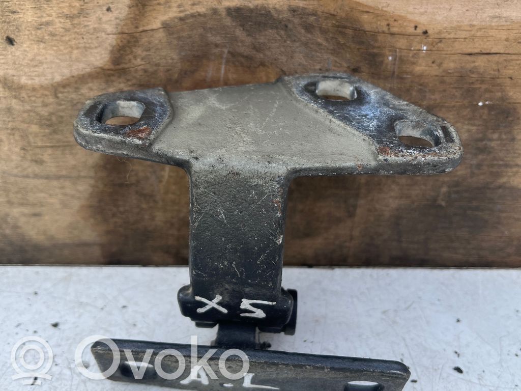BMW X5 E53 Rear door lower hinge 