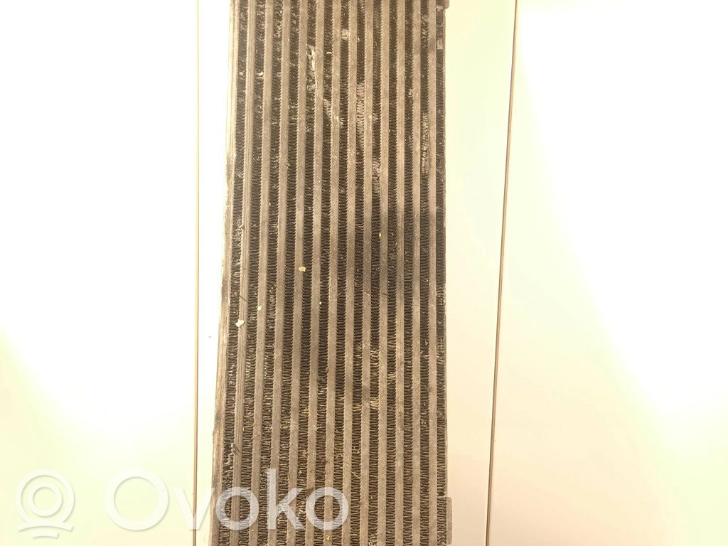 Interkūlerio radiatorius   8200411160C