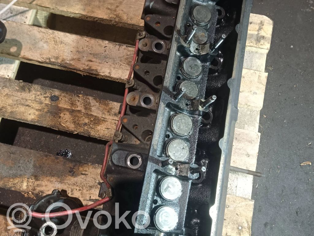 Ford Focus Engine head 