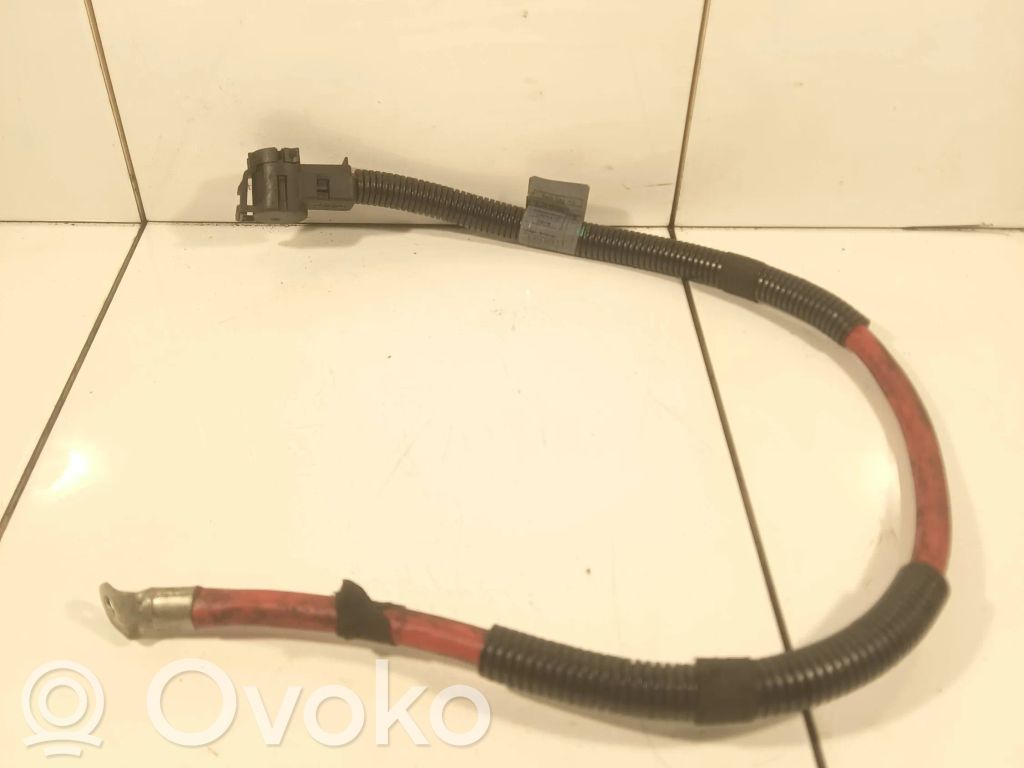 Plusa vads (akumulatora)   6904905,EE103S