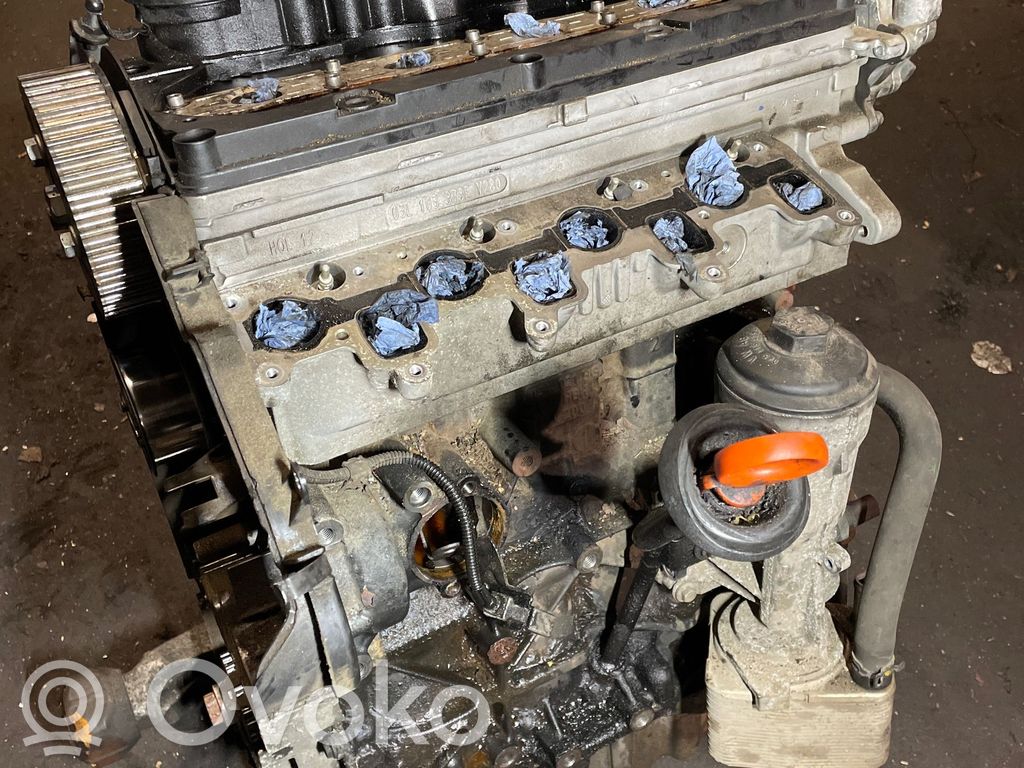 Engine   CAG,03L021BG