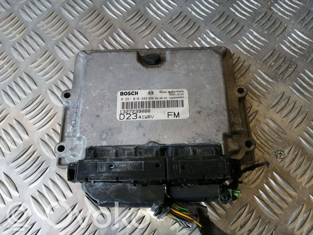 Engine control unit/module   1327239080,0281010489