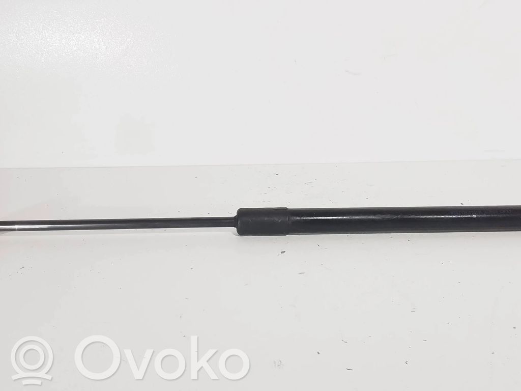 Volkswagen PASSAT B6 Tailgate/trunk strut/damper 
