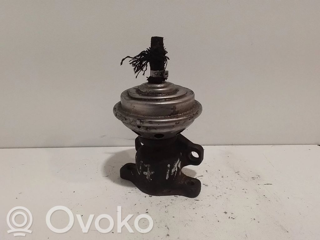 Válvula EGR   02813150