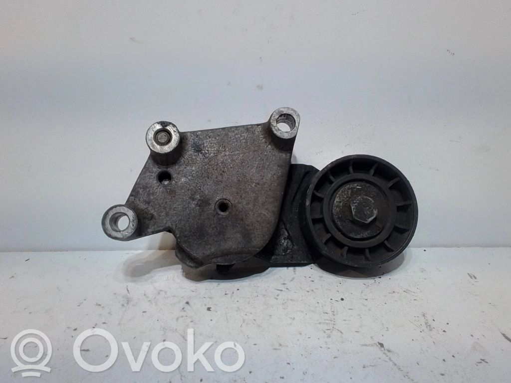 Ford Focus Diržo įtempėjas 