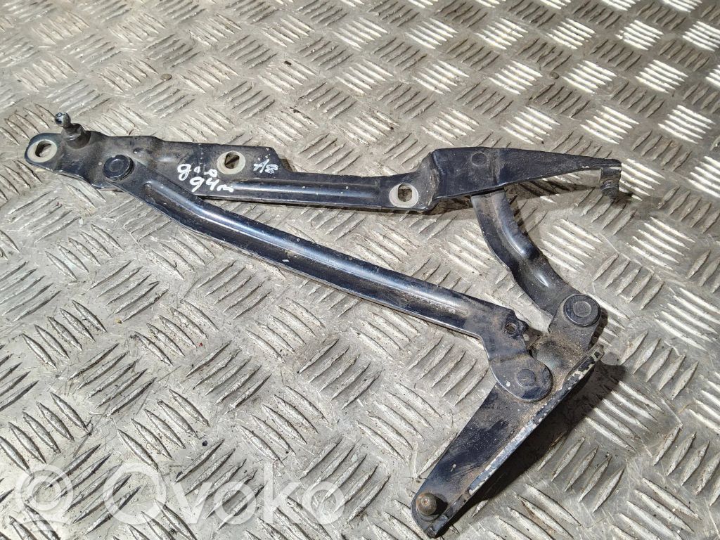 Tailgate/trunk/boot hinge