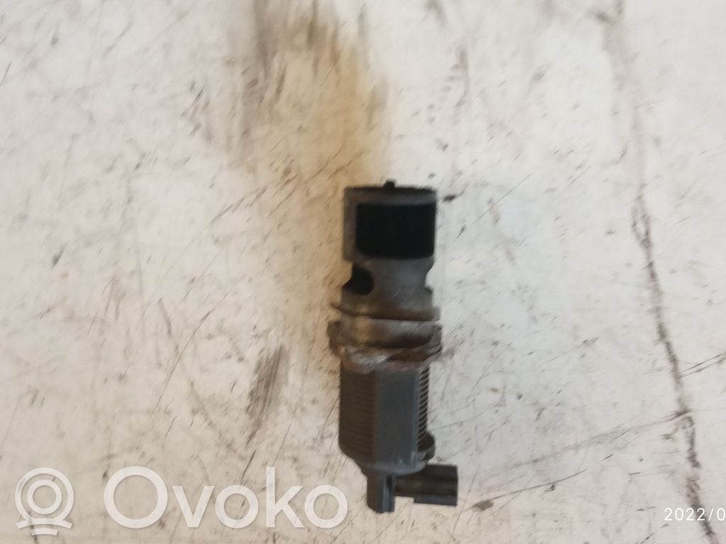 EGR-venttiili   8200270539B,06T310