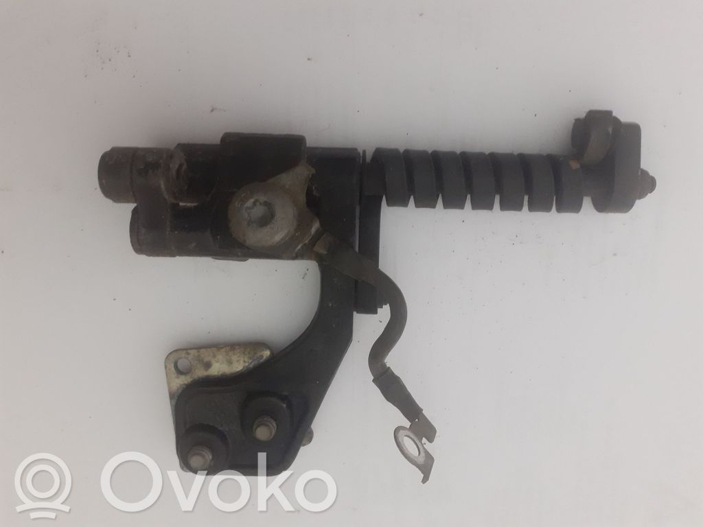 BMW 3 E46 Bisagra del maletero/compartimento de carga 