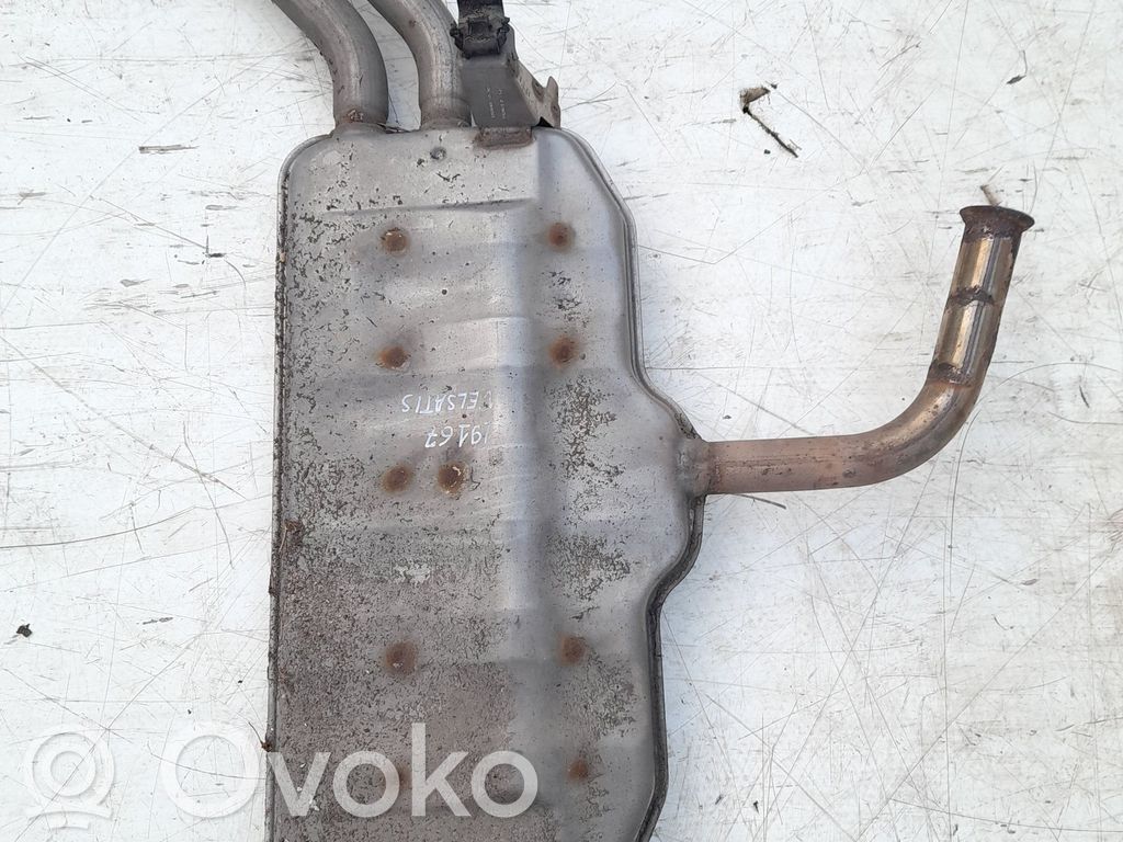Galinė pūslė   8200017041