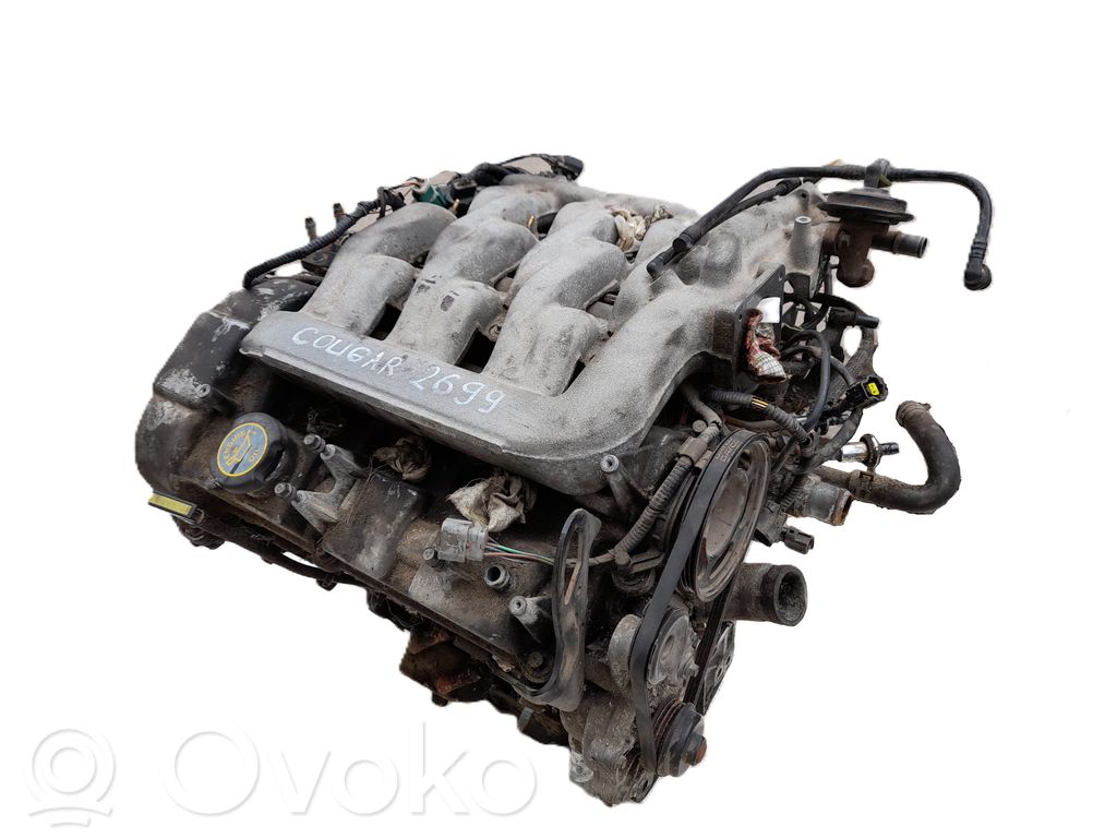 Ford Cougar Motor 