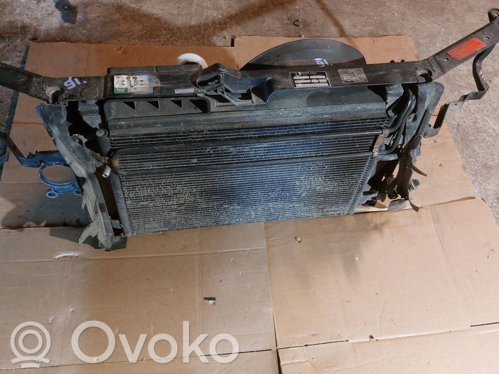 Radiatoru panelis   4D0805855