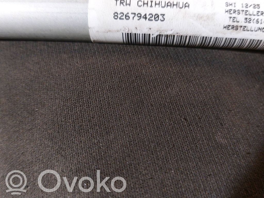 BMW X5 E53 Kopfairbag 