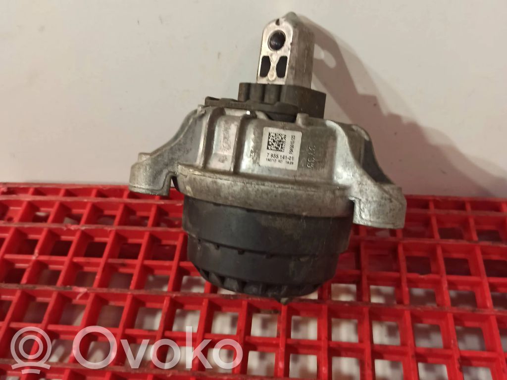 Variklio pagalvė   13981112,7935141,190717