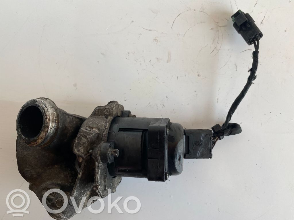 Válvula EGR   01017109