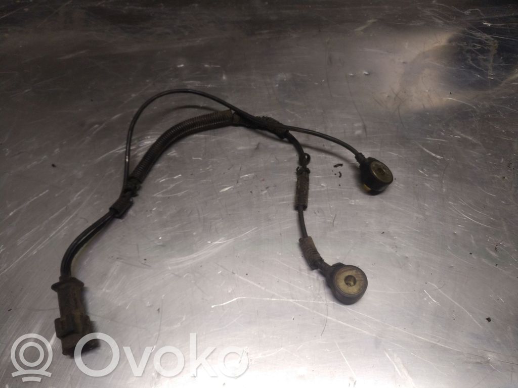 Sensor de petardeo del motor   0261231142