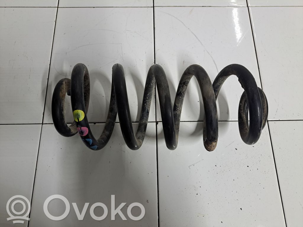 Rear coil spring