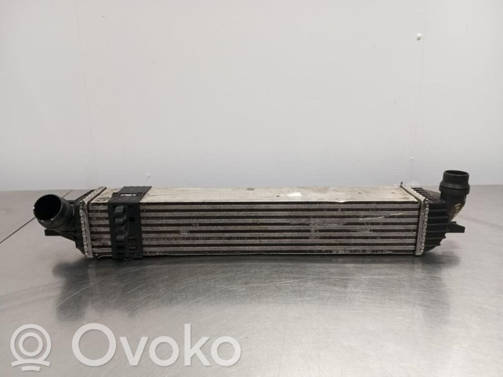 Interkūlerio radiatorius   M4925005