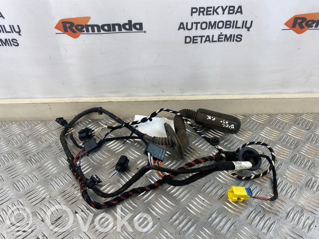 Volkswagen PASSAT CC Cableado de puerta delantera 