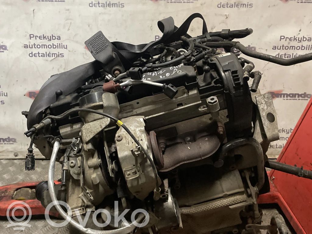 Motor   CUV,CUV