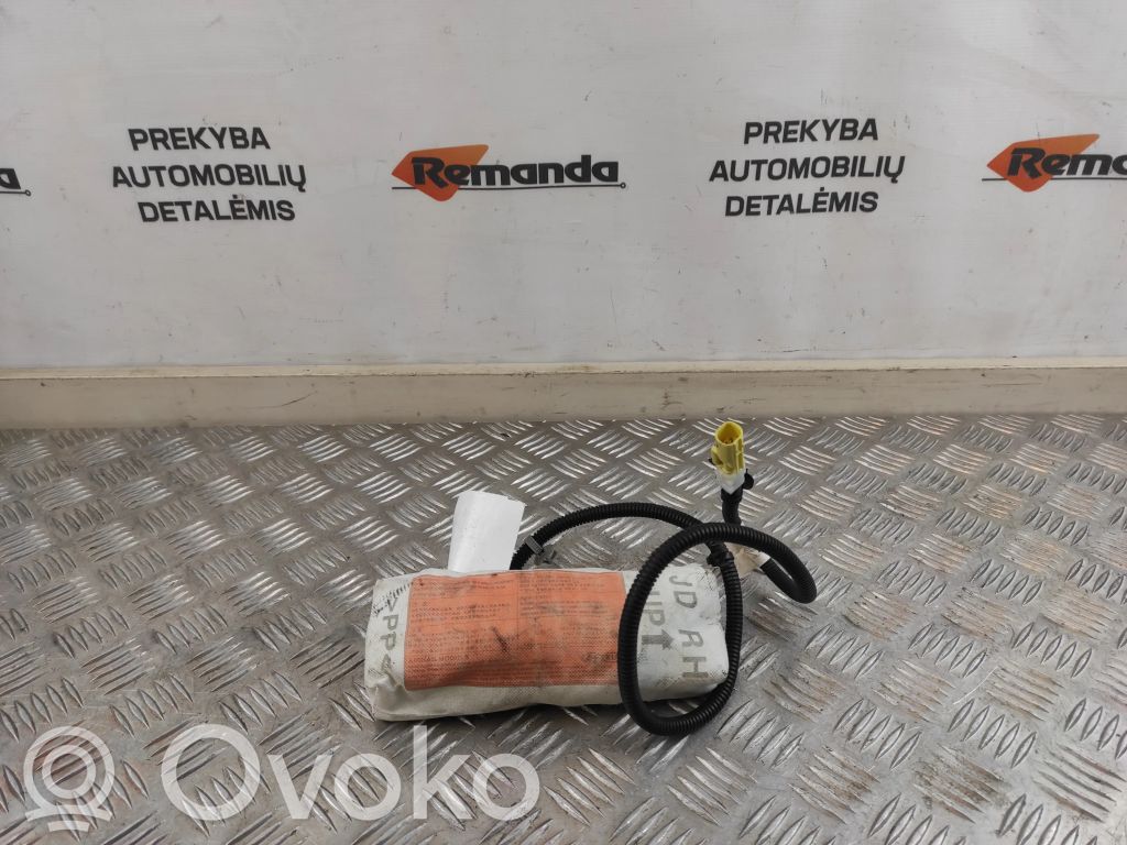 Airbag del asiento   1029709