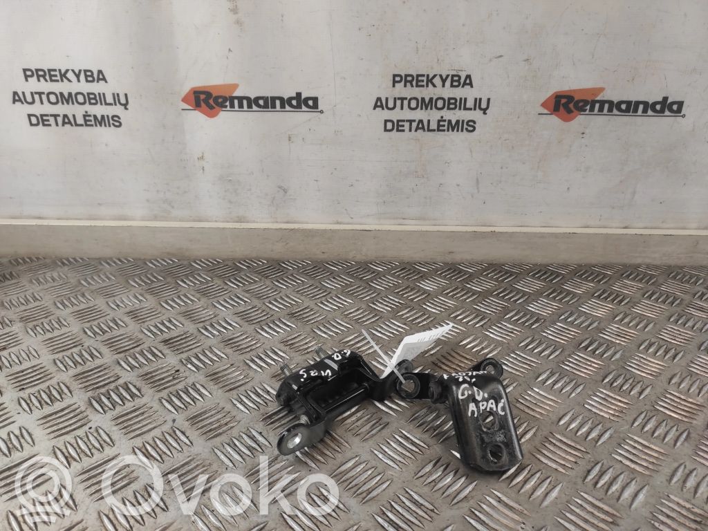 Renault Kadjar Rear door hinge set 